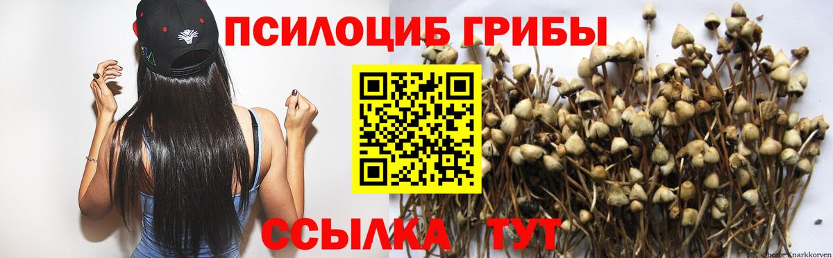 Галлюциногенные грибы Psilocybe  закладки  Псилоцибиновые грибы мицелий  Магнитогорск  Вход с VPN 